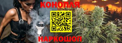крисы Изобильный